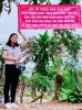 Hoa Sen Việt đào giếng nước số 3 & tặng từ thiện tại Bình Phước 26 thang 9 2020 - anh 9