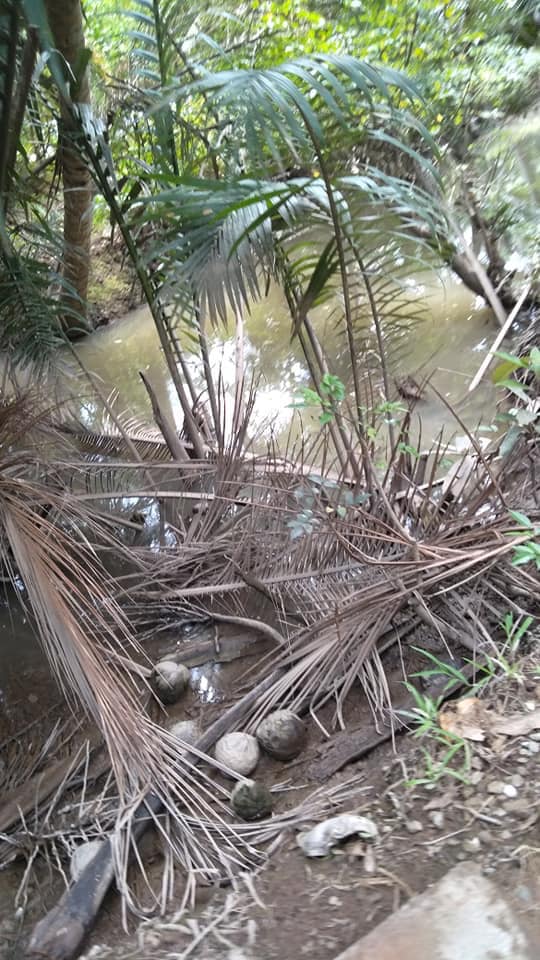 [2019.03.05] HOA SEN VIỆT KHỞI CÔNG XÂY CẦU TỪ THIỆN SỐ 3 & BỒN NƯỚC SẠCH TẠI BẾN TRE